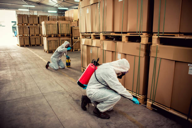 Best Flea Control Services  in Wernersville, PA