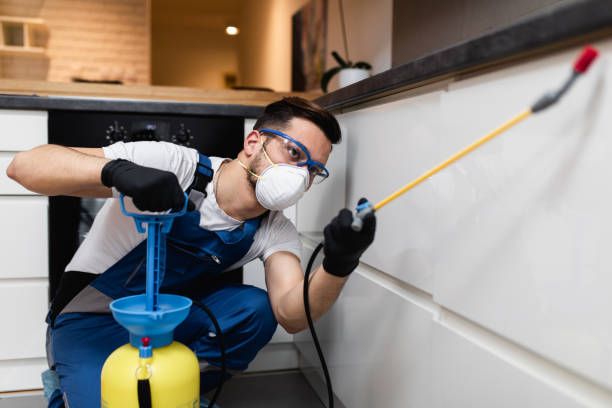 Best Commercial Pest Control Services  in Wernersville, PA