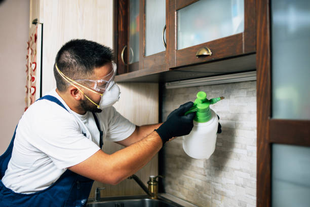 Best Best Pest Control Companies  in Wernersville, PA