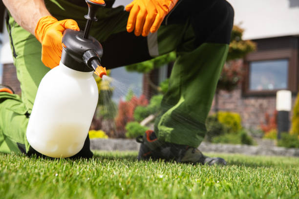 Best Pest Prevention Services  in Wernersville, PA