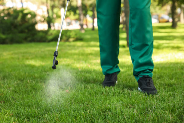Best Best Pest Control Companies  in Wernersville, PA