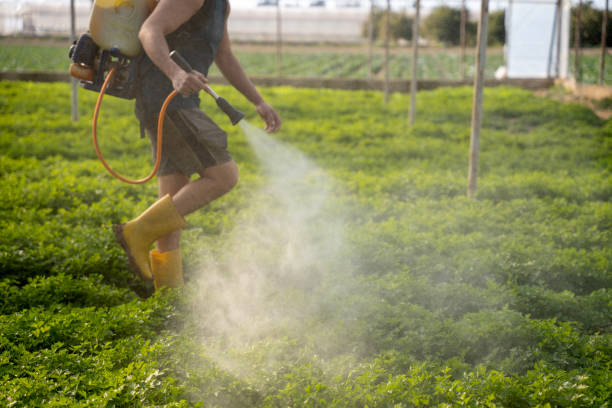 Best Local Pest Control Services  in Wernersville, PA