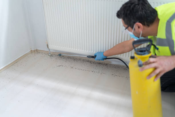 Best Termite Control Services  in Wernersville, PA